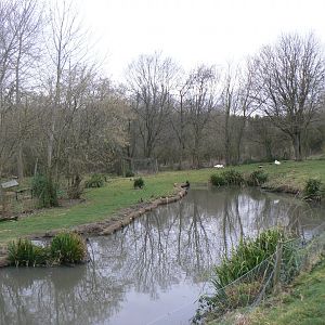 View of Part of Hunters Creek - 21 February 2017