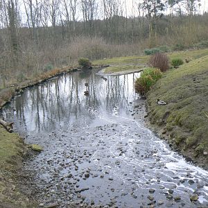 View of the Islands Pen - 21 February 2017