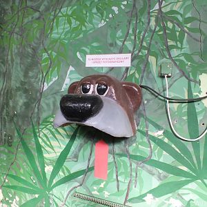 Hot Air For Glasses and Cameras at the Entrance to all Heated Tropical Buildings