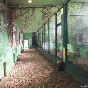 View Inside the Small Primate House