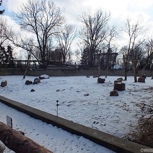 Elephant Outdoor Enclosure