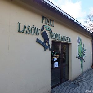 Tropical Bird House Entrance