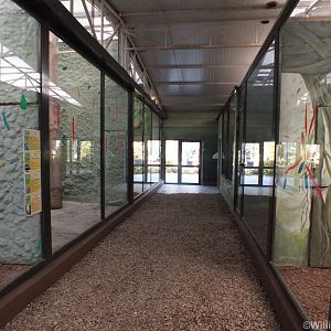 View Inside the Tropical Bird House