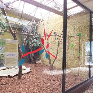 Indoor Bird Enclosure
