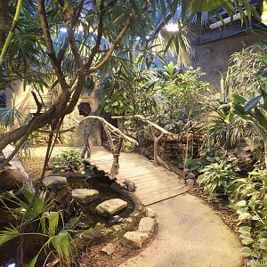 Walkthrough 'Jungle' in the Terrarium Building