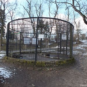 Historic Cage Display