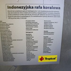 Very Extensive Indonesian Reef Species List