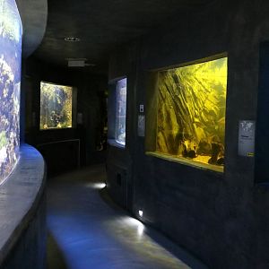 View in the Aquarium