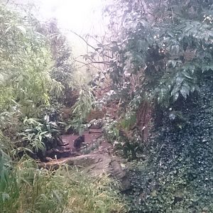 Inside the Sichuan Hall