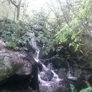 Waterfall Sichuan Hall