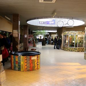 View in the Terrarium