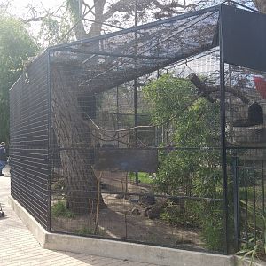 Aviary filled with Guira Cuckoo