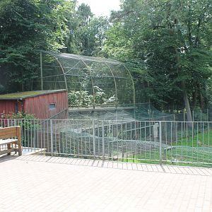 View into Barbary macaque-walk-through