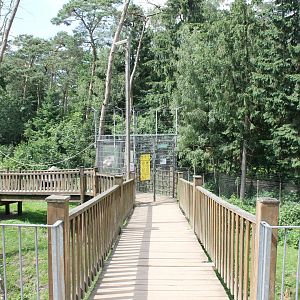 Board-walk though Barbary macaque walk-through