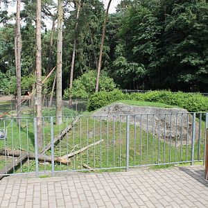 Barbary macaque walk-through