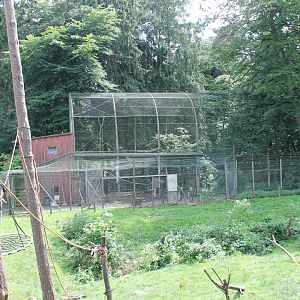 Barbary macaque-holding-enclosure