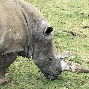 ZSL Whipsnade Zoo - 19/2/17