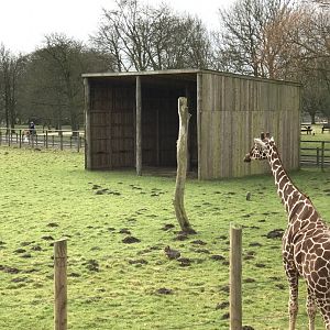 ZSL Whipsnade Zoo - 19/2/17