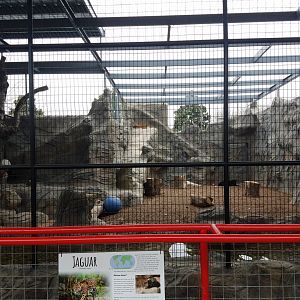 New Jaguar Exhibit