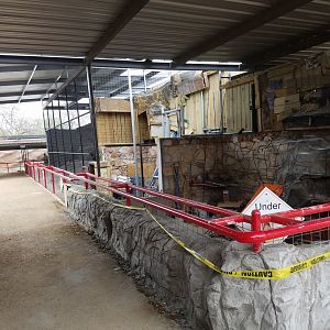 Groundhog Exhibit Construction