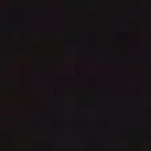 Indochinese Leopard Cat