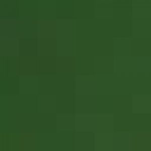 Indochinese leopard cat