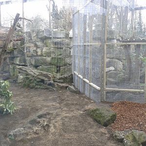 Work on former Lynx enclosure
