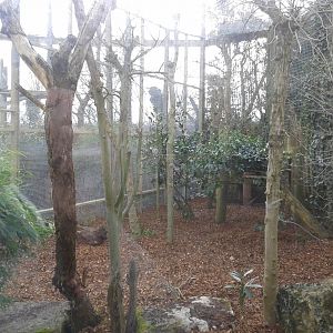 Work on former Lynx enclosure