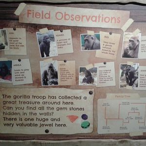 Western Lowland Gorilla signage