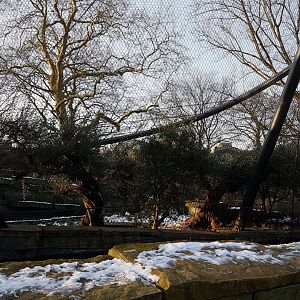 New Jaguar-enclosure