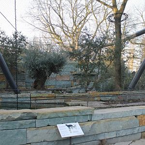 New Jaguar-enclosure