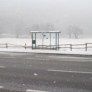 bus stop in front of zoo
