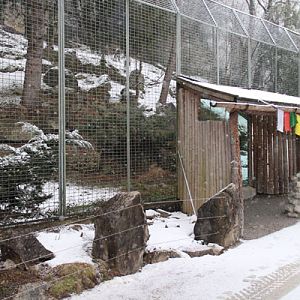 snow leopard exhibit (right of two)