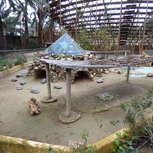 Marignated Tortosie Enclosure