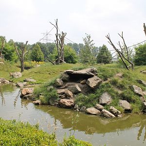 Barbary macaque-enclosure