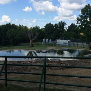 Asian Elephant Preserve