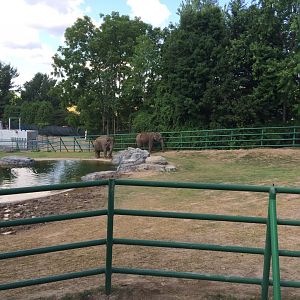 Asian Elephant Preserve