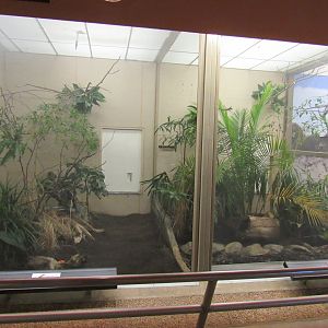 Old Bird House- Aviary 1