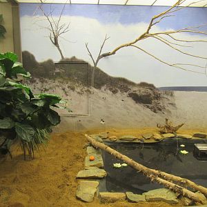 Old Bird House- Aviary 2