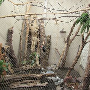 Old Bird House- Aviary 3