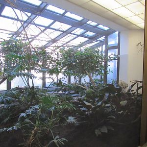 Old Bird House- Aviary 4