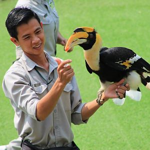 Vinpearl Safari animal show