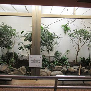 Old Bird House- Aviary 7