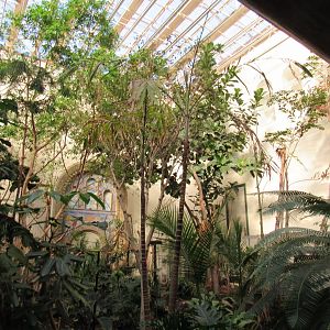 Old Bird House- Great Flight Room