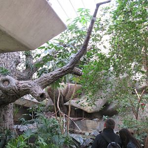 Old Bird House- Great Flight Room
