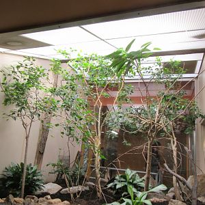 Old Bird House- Aviary 9