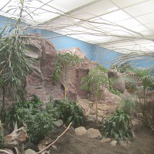 Old Bird House- Aviary 10