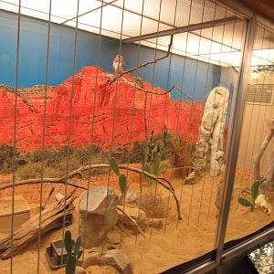 Old Bird House- Aviary 11