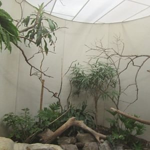 Old Bird House- Aviary 12