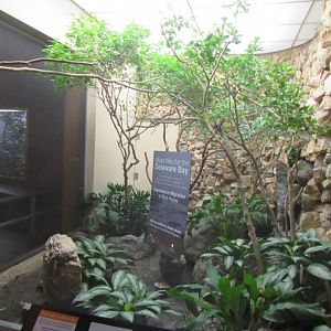 Old Bird House- Aviary 13